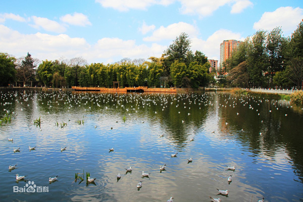 北京翠湖濕地公園水質(zhì)提升項(xiàng)目